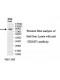TRIM71 Antibody