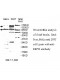 USP33 Antibody