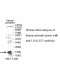 LGALS13 Antibody