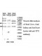 ARHGAP5 Antibody