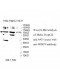 WDR13 Antibody