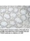 WISP3 Antibody