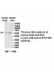 ATP6V1B2 Antibody