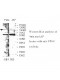 VPS41 Antibody