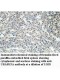 UBASH3A Antibody