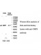 UMPS Antibody