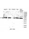 USH1C Antibody
