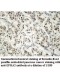 EPHA2 Antibody
